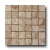 Geo Ceramiche Celtic Mosac 2 X 2 Noce Tile & Stone