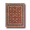 Hellenic Rut Imports, Inc. Private Reserve 10 X 14 Rehan Red Area Rugs