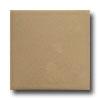 Horus Art Ceramiche Cristalli 5 X 5 Ecru Tile & Stone