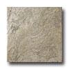 Imola Ceramica Africa 20 X 20 Inexperienced Tile & Stone