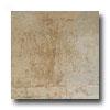 Incepa Argos 13 X 13 Beige Tile & Stone