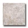 Incepa Java 13 X 13 Marfim Tile & Free from ~s