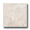 Incepa Java 16 X 16 Wheat Tile & Stone