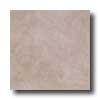 Incepa Monte Bello 13 X 13 Taupe Tile & Stone