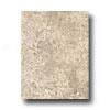 Inc3pa Orleans 10 X 13 Nice Tile & Stone