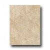 Incepa Siena 10 X 13 Oro Tile & Stone