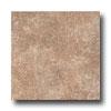 Incepa Venezia 6 1/2 X 6 1/2 Nocce Tile & Gem