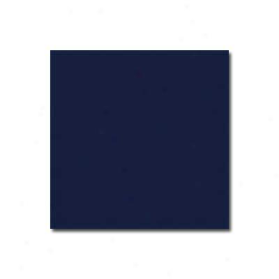 Interceramic Bold Tones 4 X 4 Classic Navy Tile & Stone