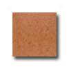 Interceramic Colortrends 16 X 16 Rust Tile & Stone