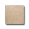 Interceramic Colortrends 16 X 16 Tan Tile & Stone