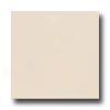 Interceramic Colours 8 X 8 White Pearl Tile & Stone