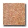 Interceramic Creek Stone 12  X 12  Terra Cotta Tile & Stone