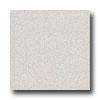 Interceramic Metallic Ii 8 X 8 Nickel Tile & Stone