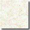 Interceramic Metalstone 17 X 17 Argengum Tile & Stone