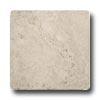 Interceramic Scabas 16 X 16 Crema Tile & Stone