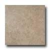 Iris Ceramica Earthstone 12 X 12 Brownstone Tile & Stone