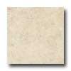 Iris Ceramica Earthstone 18 X 18 Durango Tile & Stone