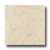 Italgres Jamaica 18 X 18 Marfil Tile & Stone