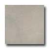 Italgres Vulcano 18 X 27 Perla Tile & Stone