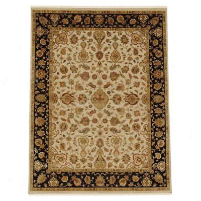 Jaipur Rugs Inc. Aurora 6  X9 Edonia Medium Ivory/ebony Area Rugs