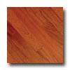 Johnson Carnaval Brazilian Cherry Jatoba Hardwood Flooring