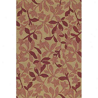 Kaleen Internal & Porch 6 Round Star Fish Cinnamon Area Rugs