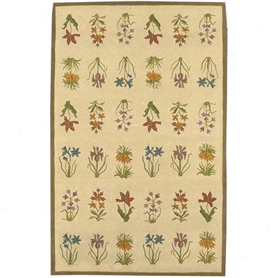 Kaleen Kashmir 10 X 13 Ivory Area Rugs