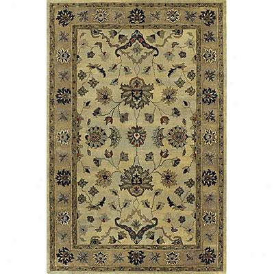 Kaleen Picks 3 X 5 La Roache Sable Area Rugs