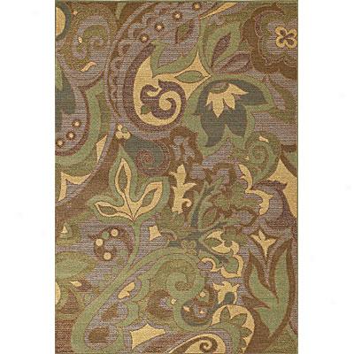 Kaleen Vicedoy 9 X 13 Mcquay Spa Area Rugs