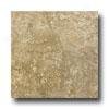 Laufen Alcazar 12 X 12 Nocce Tile & Stone