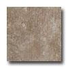 Laufen Aspen 12 X 12 Olive Tile & Stone