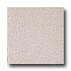 Laufen Basllica 12 X 12 Slate Etruscan Light Grey Tile & Stone