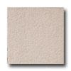 Laufen Basilica 12 X 12 Slate Corinthian Sand Tile & Stone