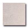 Laufen Basilica 18 X 18 Polished Etruscan Light Grey Tile & Stone