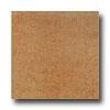 Laaufen Odessa 18 X 18 Nocce Tile & Stone