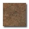 Laufen Tacoma 13 X 13 Walnut Tile & Stone