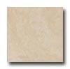 Leonardo Ceramica Rapolano 18 X 18 Crema Tile & Stone