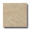 Leonardo Ceramica Rapolano 12 X 12 Tortora Tile & Stone