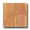 Manningtkn Adura Plank - Spalted Georgian Maple Natiral Vinyl Flooring