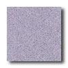 Mannington Biospec Wood Violet Vinyl Flooring