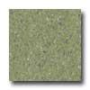 Mannington Brushwork Cinnabar Green Vinyl Flooring