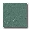 Mannington Brushwork Huntter Green Vinyl Flooring