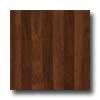 Mannington Distinctive Collection - Jatoba Plnak Roasted Pepper Vinyl Flooring