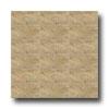 Mannington Monterey 6 X 6 Beige Tild & Stone