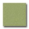 Mannington Solid Point Sour Apple Vinl Flooring