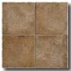 Mannington Tuscan Valley 12 X 12 Sandalwood Tile & Grave~