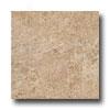 Marazzi Arctic Bay 12 X 12 Arviat Tiel & Stone