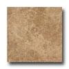 Marazzi Arctic Bay 6 X 6 Rankin Tile & Stone