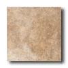 Marazzi Casali 16 X 16 Fattoria Tile & Stone