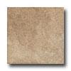 Marazzi Cimmaron 6 X 6 Meadow Tile & Srone